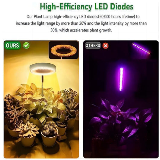 Luz LED de Crecimiento para Plantas Suculentas y Bonsái con Temporizador y Atenuador - Image 2