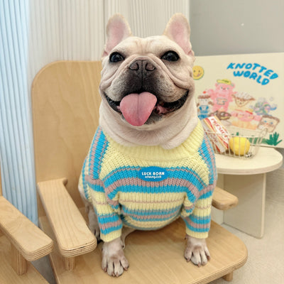 Suéter de Invierno para Perros Pequeños - Abrigo Cálido para Razas Toy - Image 16