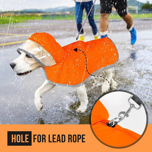 Impermeable para Perros Pequeños con Capucha Transparente - Image 21