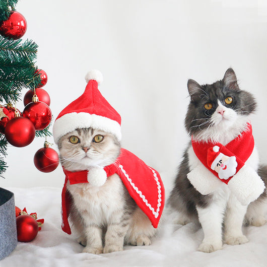 Pañoleta Térmica para Mascotas y Accesorios de Invierno - Image 35