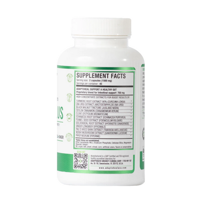INTESTIPLUS - Suplemento natural para apoiar a saúde intestinal - 90 Cápsulas