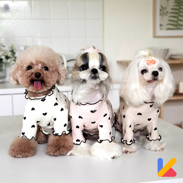 Mundo Firulais: todo para un perro feliz, activo y lleno de vida