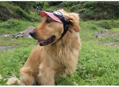 Gafas de Sol Plegables para Perros Medianos - Protección UV Impermeable - Image 17