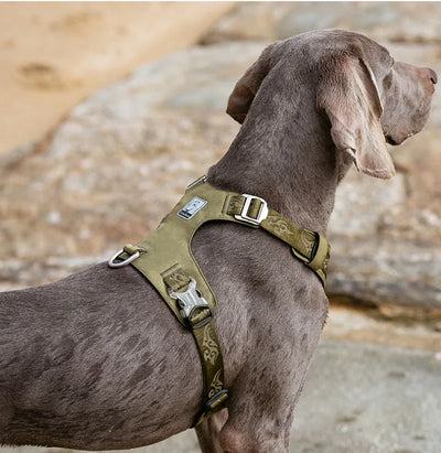 Arnés de Tracción para Perros Grandes con Correa de Paseo - Image 11