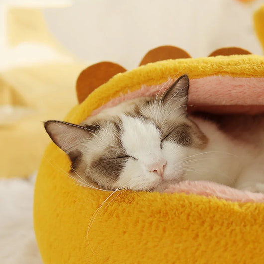 Suéter de Algodón Camuflado para Gatos sin Pelo - Image 16