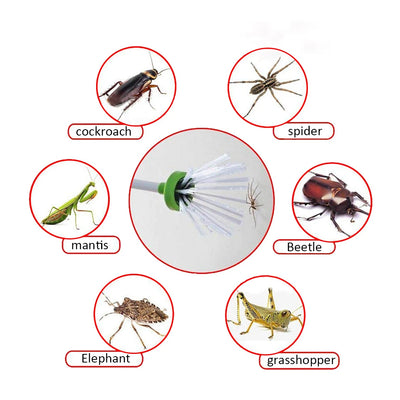 Pinza Capturadora de Insectos Portátil - Image 15