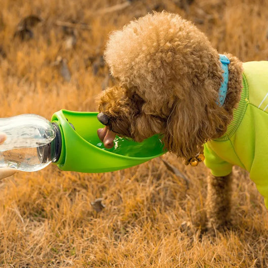 Botella Dispensadora de Agua Portátil para Perros con Cuenco Integrado - Image 15