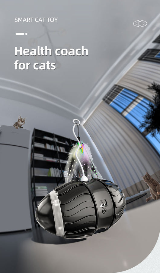 Juguete Interactivo Automático para Gatos - Image 7