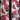 Watermelon Black Nylon Dog Collar MD, LG, XL, Leash