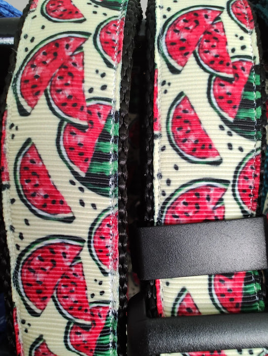 Watermelon Black Nylon Dog Collar MD, LG, XL, Leash