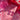 Hot Pink Mirror Moka Pot Earrings - Tekeno