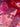 Hot Pink Mirror Moka Pot Earrings - Tekeno