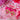 Iridescent Hot Pink Bow Coquette Heart Earrings - Tekeno
