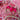 Hot Pink Bow Coquette Heart Earrings - Tekeno