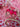 Hot Pink Bow Coquette Heart Earrings - Tekeno