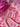 Pastel Pink Large Coquette Bow Earrings - Tekeno