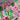 Bright In the Clouds Rainbow Earrings - Tekeno