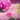 Pretty Pink Orchid Necklace - Tekeno