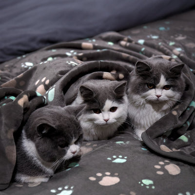 Manta Térmica para Perros y Gatos - Franela Gruesa y Acogedora - Image 11