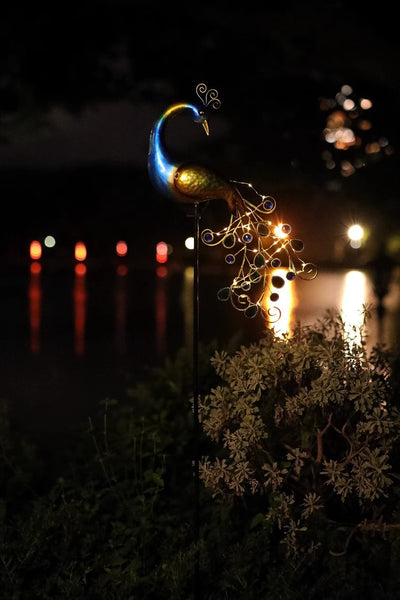Luces Solares LED para Jardín - Decoración Exterior Automática - Image 31