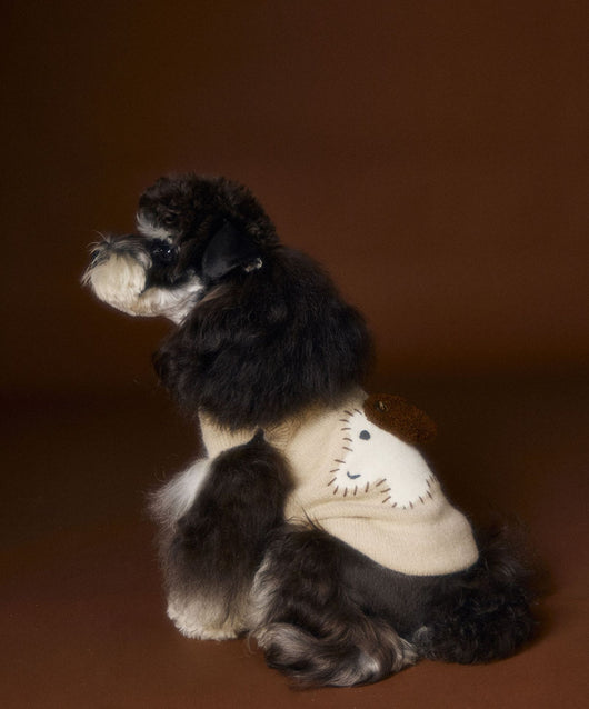 Chaleco Térmico sin Mangas para Perros Schnauzer, Bichón y Razas Pequeñas - Image 26