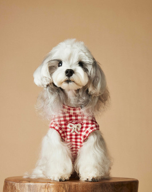 Chaleco Escocés sin Mangas para Perro Maltés y Schnauzer Teddy en Rojo - Image 13