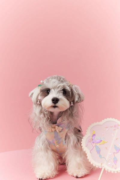 Chaleco Cheongsam Estilo Neo-Chino para Mascotas Pequeños - Schnauzer y Bichón - Image 26