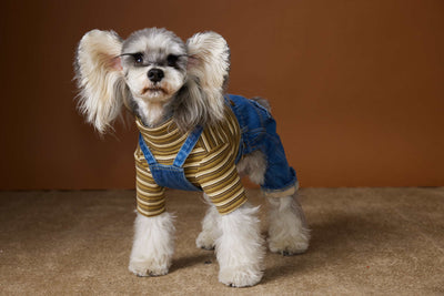 Ropa de Invierno para Perros Pequeños - Jeans Acolchado Térmico - Image 20