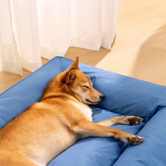 Cama Ortopédica para Mascotas con Soporte Envolvente - Image 38