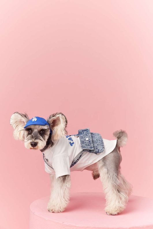 Ropa de Verano para Perros Pequeños - Teddy Schnauzer Bichón - Image 40