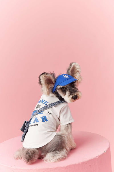 Ropa de Verano para Perros Pequeños - Teddy Schnauzer Bichón - Image 18