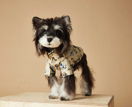 Playera Estampada con Razas de Perros - Dachshund, Schnauzer, Bichón y Maltés - Image 49
