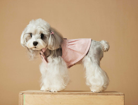 Falda Overol de Mezclilla Lavada para Perros - Image 18