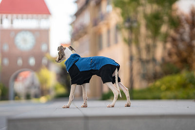 Abrigo Térmico para Mascotas con Cuello Desmontable Resistente al Viento - Image 20