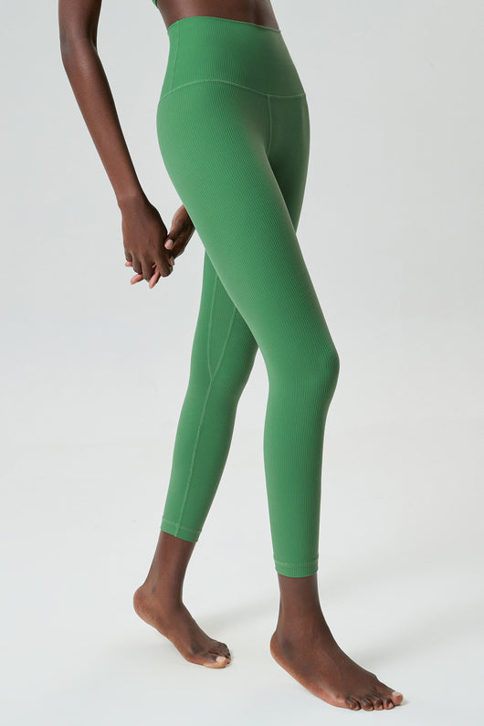 Leggings Talla Grande Viscoelásticos con Base Ajustada - Image 26