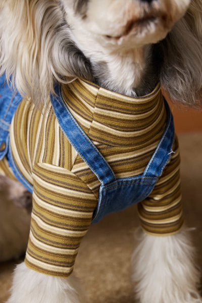 Ropa de Invierno para Perros Pequeños - Jeans Acolchado Térmico - Image 12