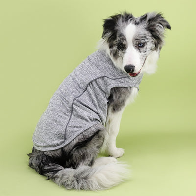 Ropa Reflectante para Perros Pequeños - Chaleco Luminoso Teddy, Pomerania y Pug - Image 29