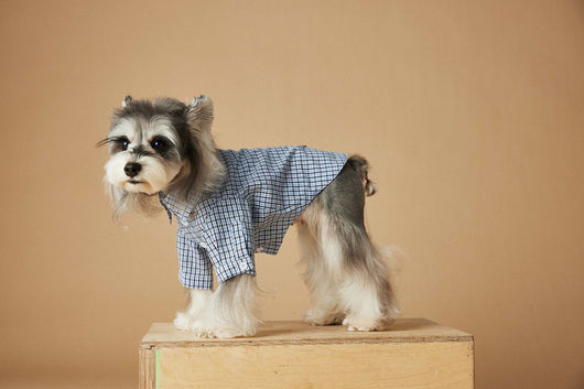Camisa Cuadriculada de Verano para Perros Pequeños - Image 22