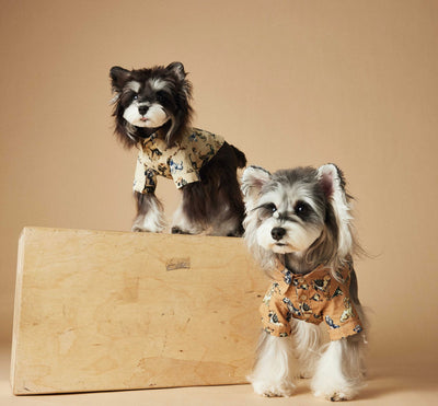 Playera Estampada con Razas de Perros - Dachshund, Schnauzer, Bichón y Maltés - Image 17