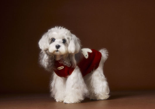 Chaleco Térmico sin Mangas para Perros Schnauzer, Bichón y Razas Pequeñas - Image 14