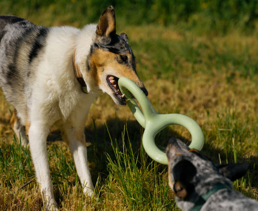 Light green rubber pet bite and pull toy shaped like a figure eight, with a ribbed texture on one end. - Image 7