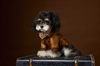 Abrigo de Cuero Retro Estampado Schnauzer Bichon - Manga Larga Unisex - Image 17