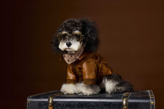 Abrigo de Cuero Retro Estampado Schnauzer Bichon - Manga Larga Unisex - Image 17