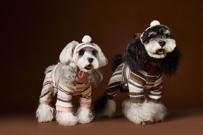 Suéter Térmico de Rayas para Perros Pequeños - Schnauzer, Bichón y Maltés - Image 14