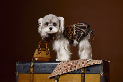 Vestido Otoñal Estampado Leopardo para Perros - Image 14