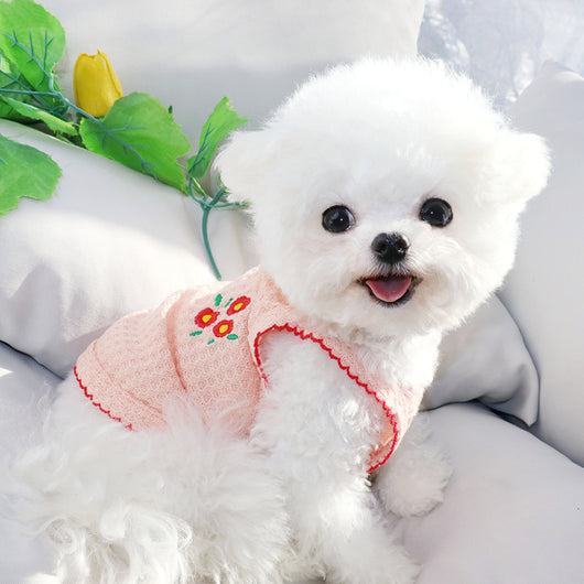 Ropa Premium VIP Teddy Bomei para Gatos y Perros Pequeños - Image 9