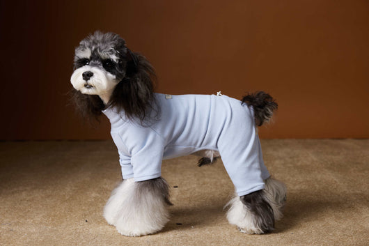 Playera Térmica para Perros Schnauzer y Bichón - Cómoda y Abrigadora - Image 22