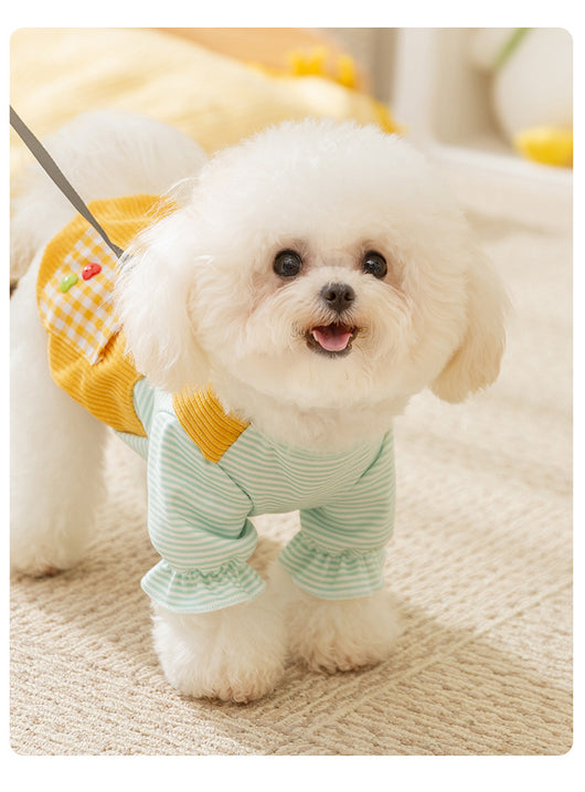 Enterizo Térmico de Dos Patas para Perros Pequeños - Otoño e Invierno - Image 11