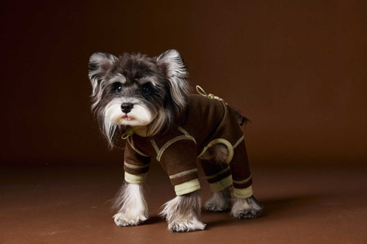 Ropa para Perros Teddy Schnauzer Bichon Bicolor Cómoda - Image 51
