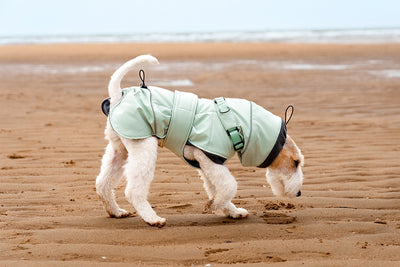 Abrigo Impermeable para Perros - Protección Contra Viento y Frío - Image 17